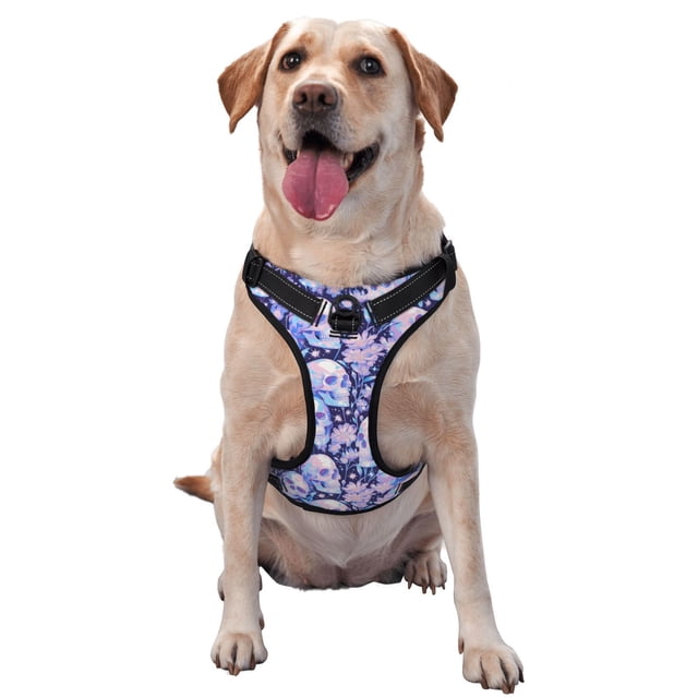 Balery Skull star crystal Arnés para Perros Grandes Antitirones, Arnés con Correa para Gato, Arnés Tipo Chaleco para Perros Pequeños-Small