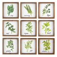 thumbnail image 1 of Imax A0975088 Herb Wall Blocks, Green - Assorted 9, 1 of 1