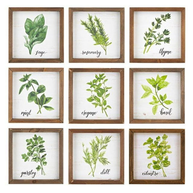 Imax A0975088 Herb Wall Blocks, Green - Assorted 9