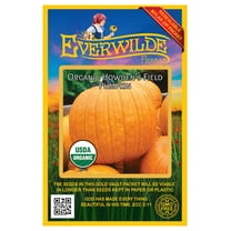 Everwilde Farms - 10 Organic Howdens Field Pumpkin Pumpkin Seeds - Gold Vault Jumbo Bulk Seed Packet