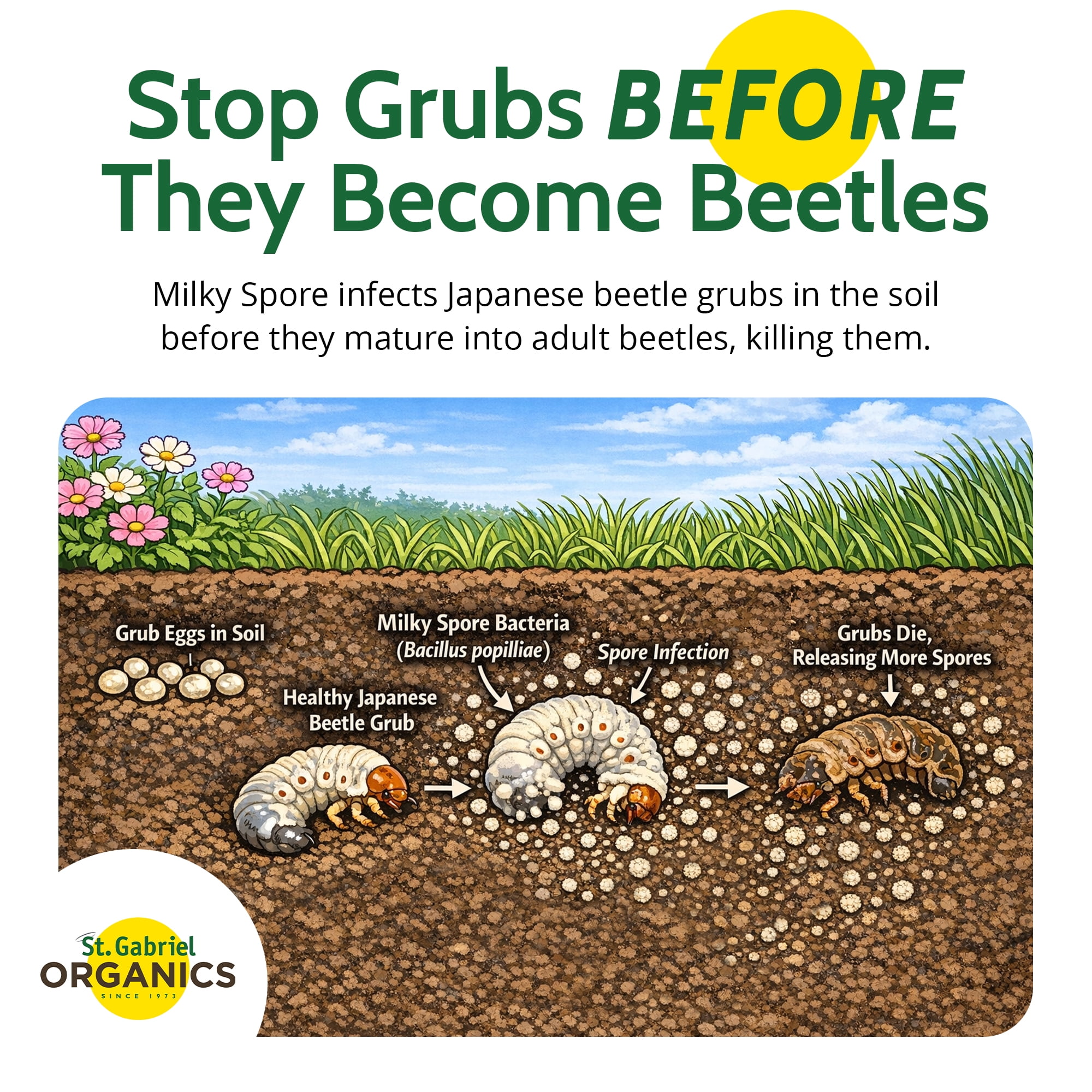 St. Gabriel Organics Milky Spore Powder Japanese Beetle Grub Control, 10 Oz
