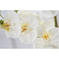 thumbnail image 3 of Guardoinrt Realistic Artificial White Orchid Plant In Pot - Low Maintenance Wide Application Realistic pink, 3 of 6