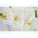 thumbnail image 3 of Flores artificiales Injueey orquídea blanca decoración multicolor, 3 of 6