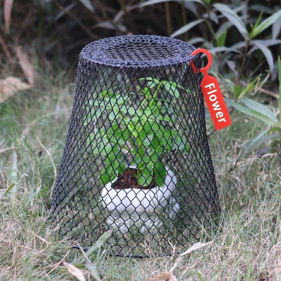 12 PCS Heavy Duty Metal Plant Protectors with Labels & Stakes for Outdoor Gardens - Rust-Resistant Chicken Wire Cloches