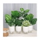 thumbnail image 2 of Sistema De Riego Automático De Plantas Y Flores, 6 Pzs. BLANCO, 2 of 5
