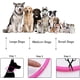 thumbnail image 3 of Collar con luz LED para perros, recargable por USB, collar de seguridad para mascotas de longitud ajustable para perros y gatos, 3 of 5