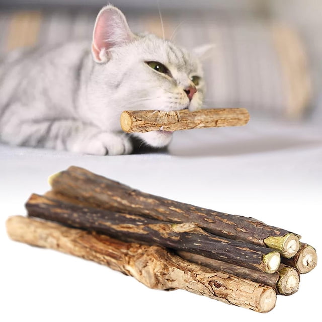 5x Catnip rattan Sticks Natural Actinidia Polygama de Juguetes para Mascotas Salvador Palitos de hierba gatera