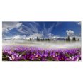 thumbnail image 2 of Fleurs de Printemps Crocus - Impression d'Art sur Toile de Photographie Florale, 2 of 3