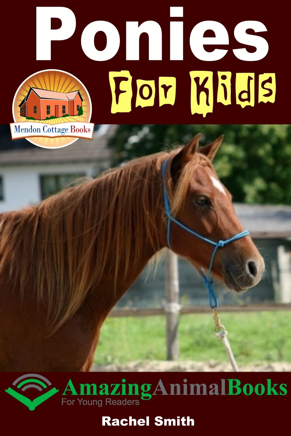 Ponies For Kids: Amazing Animal Books For Young Readers - eBook