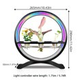 thumbnail image 3 of Graflsoa Modern USB-Powered Indoor Water Feature with 15 RGB Colors, 3H/9H/12H Timer, Full Spectrum Plant Growth Light, and Hydroponic Planting Kit - Black, 3 of 6