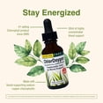 thumbnail image 4 of Suplemento de hierbas, etc. Clorooxígeno, clorofila, 30 ml., 4 of 7