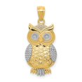 thumbnail image 1 of Quality Gold 10K5978 10K Yellow with Rhodium Polished & Textured Owl Pendant, 1 of 1
