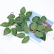thumbnail image 2 of Hojas verdes artificiales Woohome Bulk Rose, 250 unidades, para bricolaje, 2 of 8