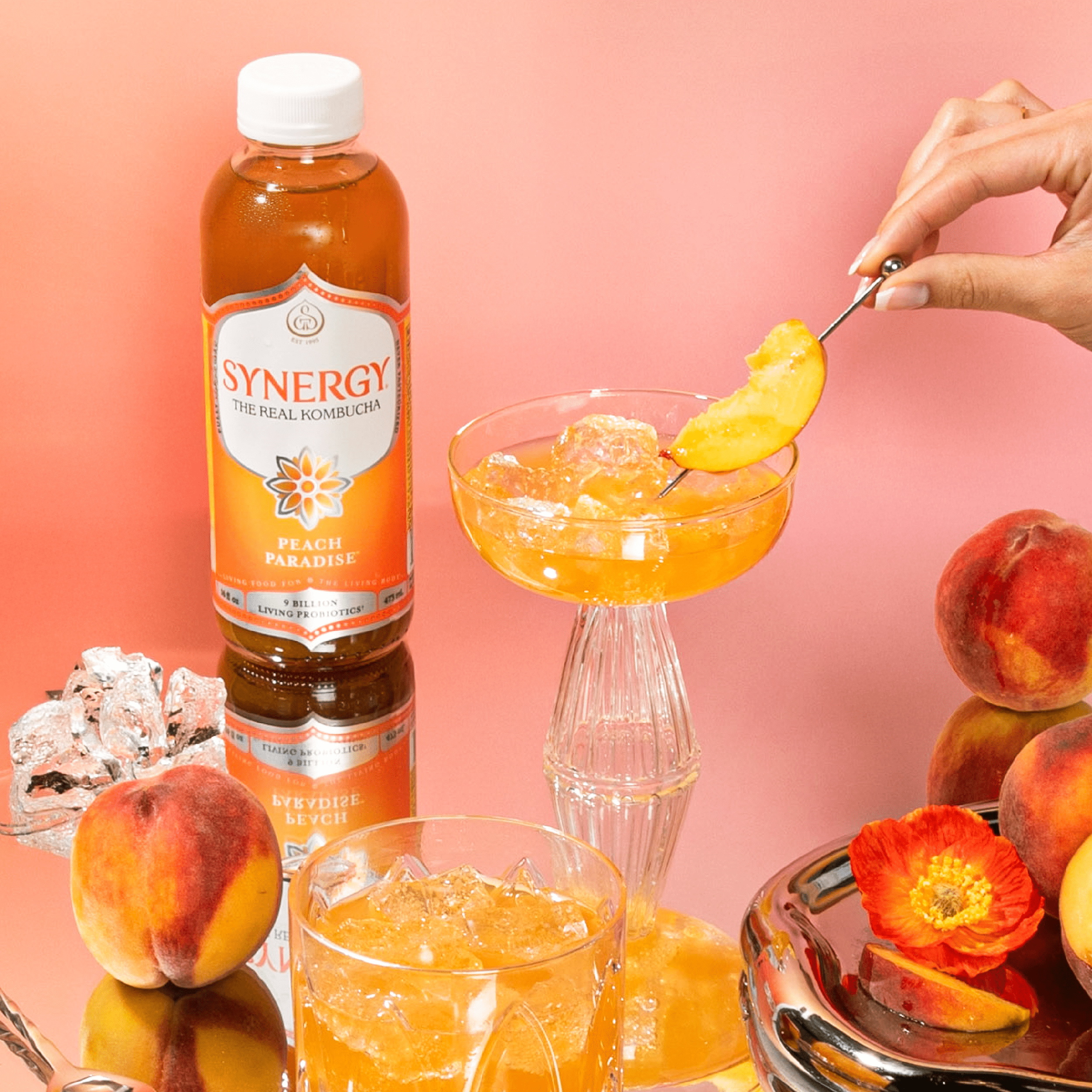 Synergy The Real Kombucha Peach Paradise, 16 fl oz - Walmart.com