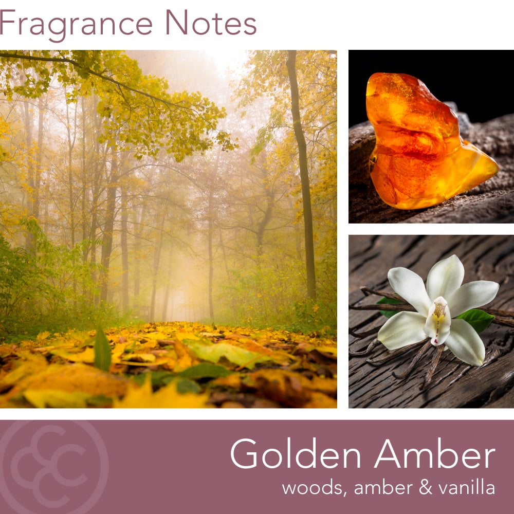 Colonial Candle Golden Amber 16 oz Aromatherappy Candle, White