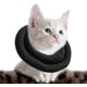 thumbnail image 1 of Adjustable Cat Cone Collar Padded with Soft Polyester for After Surgery to Anti Lick, 1 of 4