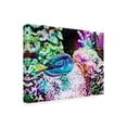 thumbnail image 2 of Eva Bane 'Vibrant Reef VI' Canvas Art, 2 of 3