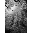 thumbnail image 2 of Stamenkovic, Goran 13x18 Gold Ornate Wood Framed with Double Matting Museum Art Print Titled - Flight, 2 of 4