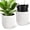 White 14.5 Inches High, 2pcs, variant on Accreate Self-Watering Tall Planter Set with Water Level Gauge – White Resin Flower Pots – Hidden Wheels, Large Indoor/Outdoor