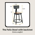 thumbnail image 3 of Hampden Furnishings Felix Collection 18-Inch Steel Stool with Backrest, Black, AssemblyReady, 3 of 5