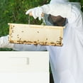 thumbnail image 6 of VIVO Large Beekeeping Bee Keeping Suit, Jacket, Pull Over, Smock with Veil, 6 of 7