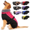 thumbnail image 1 of Abrigo para perros IECoII, extra cálido, reflectante, ajustable, para invierno, morado, 1 of 7
