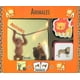 thumbnail image 1 of ANIMALES SUSAETA  SUSAETA, 1 of 1