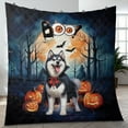 thumbnail image 4 of Happy Halloween Vampire Siberian Husky BOO with Pumpkins Fun and Spooky Quilt Blanket Husky Dog Lover Gifts Cozy Comforter Throw Blanket - 00018, 4 of 5