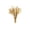 Beige-4, variant on Eolstice Dried Pampas Grass Decor, Natural Fluffy Plume Bundle with Bunny Tails, Boho Rustic Dried Flowers for Wedding Centerpiece, Home Table Party Arrangement