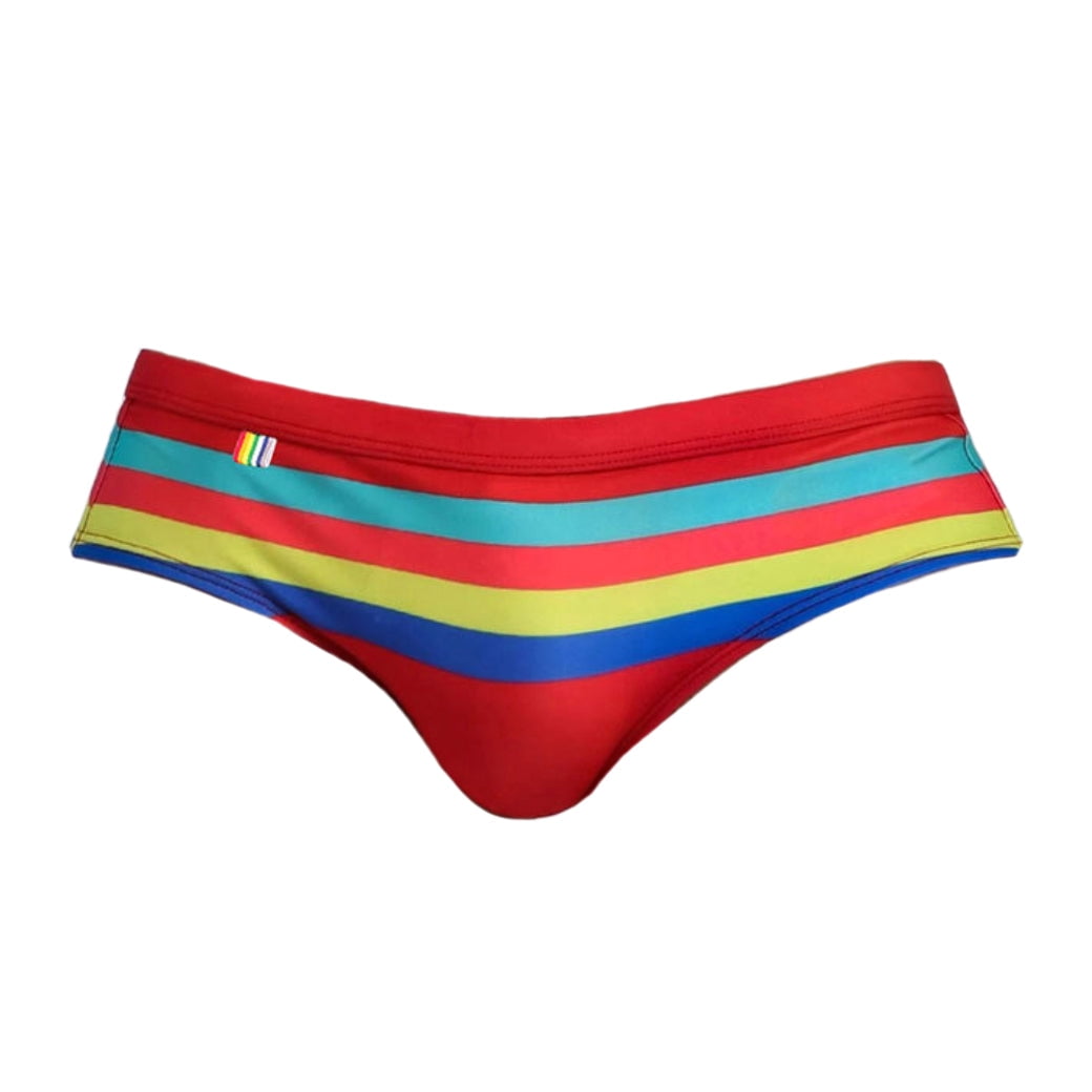 Buy Mens Swim Briefs Striped Quick Dry Swimsuit Bathing Suit Online at