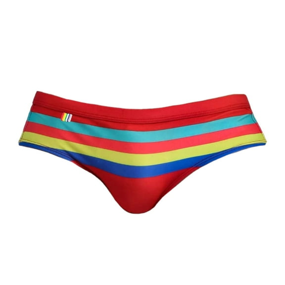Men's Swim Briefs Striped Quick Dry Swimsuit Bathing Suit