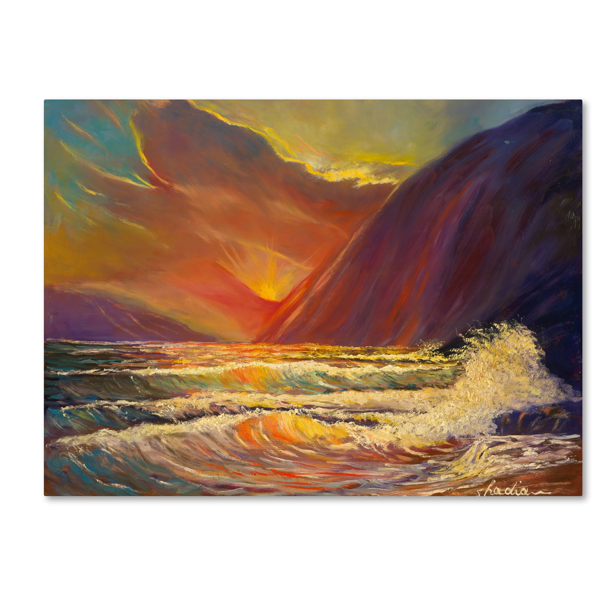 Trademark Fine Art 'Hawaiian Coastal Sunset' Canvas Art by Manor Shadian