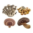thumbnail image 3 of 4 Pieces Artificial Model Learning Activities Miniature Figurines for Kindergarten Storytelling Sand Table Scene Daycare Toddlers Brown, 3 of 8