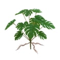 thumbnail image 2 of Sunjoy Tech Artificial Plant Flower Planter Pot Realistic Non-withering No Watering Wedding Photo Props Indoor Outdoor Home Office Garden Decoration Faux Greenery Plant, 2 of 8