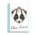 thumbnail image 1 of Big Eyed White brown Loris animal Carpeta combinada de protección de páginas, 1 of 3