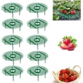 thumbnail image 1 of Yazoeia Strawberry Plant Support, Reusable Strawberry Growing Racks, Adjustable Plant Stand Strawberry, Growing Holder for Strawberry Planting, Keeping Fruit Off Rot and Berries Clean (10, 1 of 7