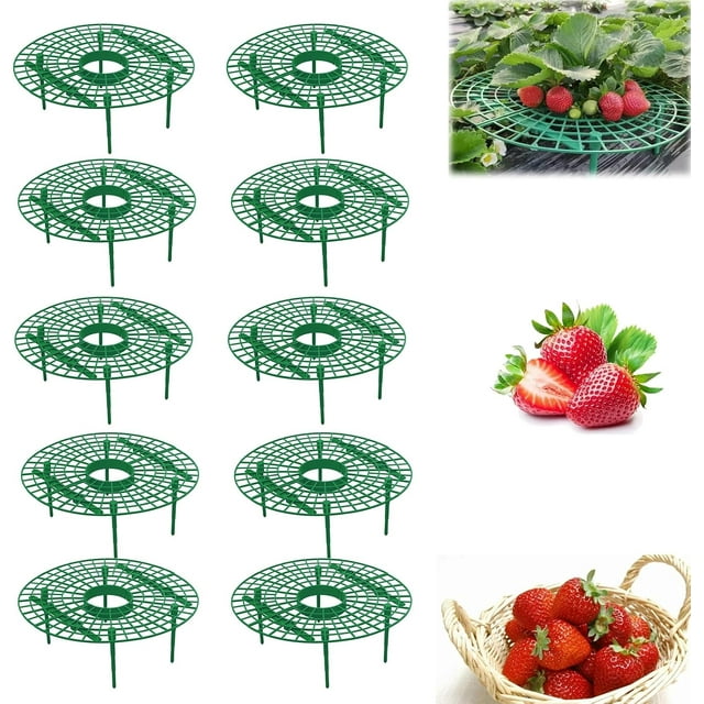 Yazoeia Strawberry Plant Support, Reusable Strawberry Growing Racks, Adjustable Plant Stand Strawberry, Growing Holder for Strawberry Planting, Keeping Fruit Off Rot and Berries Clean (10