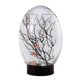thumbnail image 1 of 2026 19x8.2cm/7.48x3.23in Closed Aquatic Ecosystem Simple Transparent Design, 1 of 5