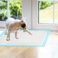 thumbnail image 2 of Rewera Training Mats for Learning 20Pcs Dog Training Mat, Breathable, Super Absorbent, Disposable Alese Puppy Waterproof Floor Protection Mat for Dogs, Cats, XL, 60 x 90, 2 of 5