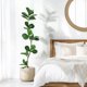 thumbnail image 1 of Garvee 183 cm artificial ficus lyrata con blanca pot - grande plastic plants para indoor y outdoor decoration, suitable para bedrooms, 1 of 6
