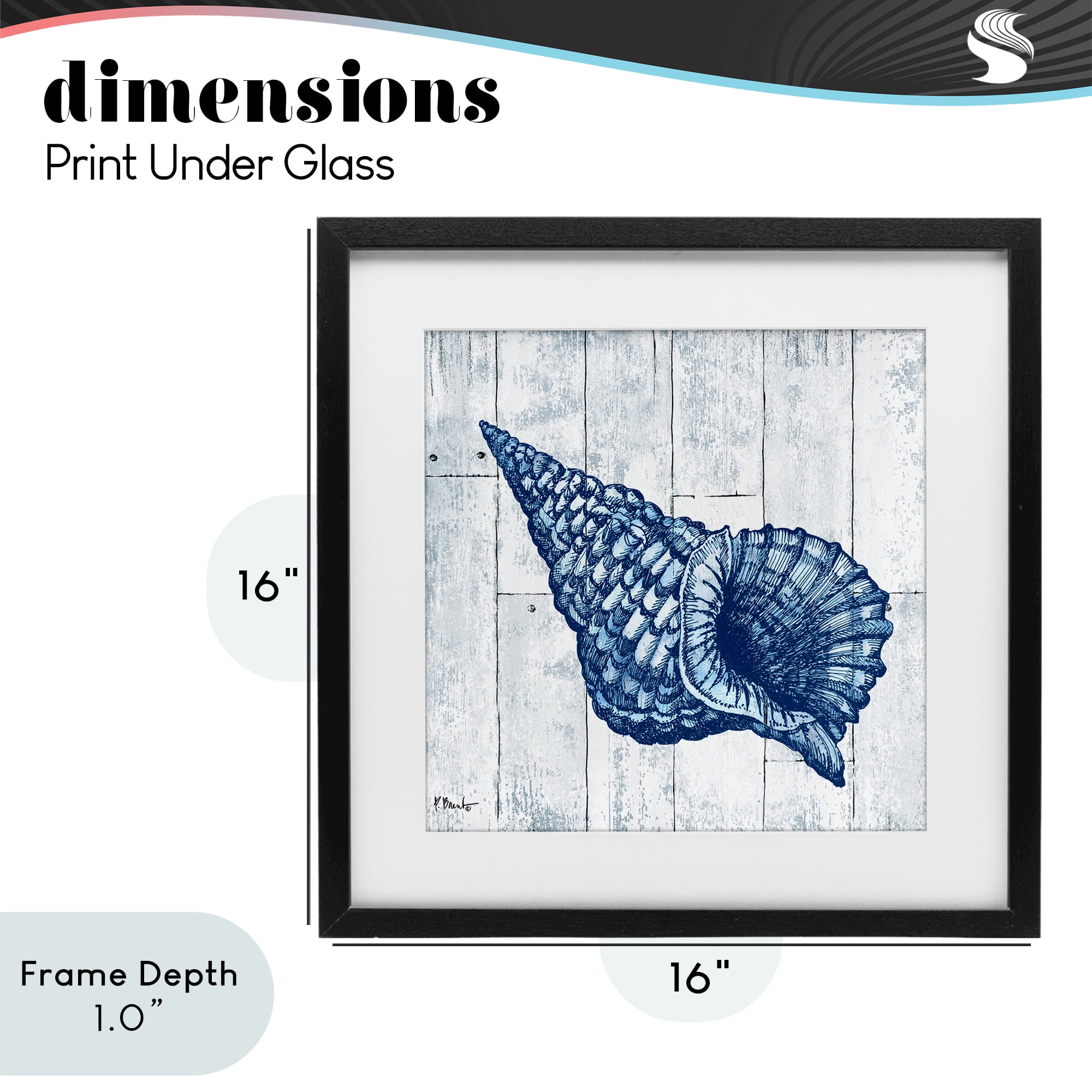Stupell Industries Coastal Timberland Conch Black Framed Print Under Glass, design by Paul Brent