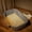 Gray, variant on 12L Large Low Entry Cat Litter Box for Senior & Elderly Cats, High Sides Anti-Splashing Litter Pan, Easy Clean Indoor Cat Litter Box for Kittens & Disabled Cats 16.54''LX11.02''WX4.72''H
