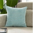 thumbnail image 3 of Set of 2 Polyester Blend soft hand feeling Pillow (With or Without Inserts), 3 of 10