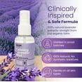 thumbnail image 3 of Belfiore Herbal Calming Lavender Mist Spray for Relaxation & Sleep, 2oz (3 Pack), 3 of 8