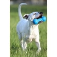 thumbnail image 2 of Juguete para Masticar Nerf Dog Azul Mediano, 2 of 6
