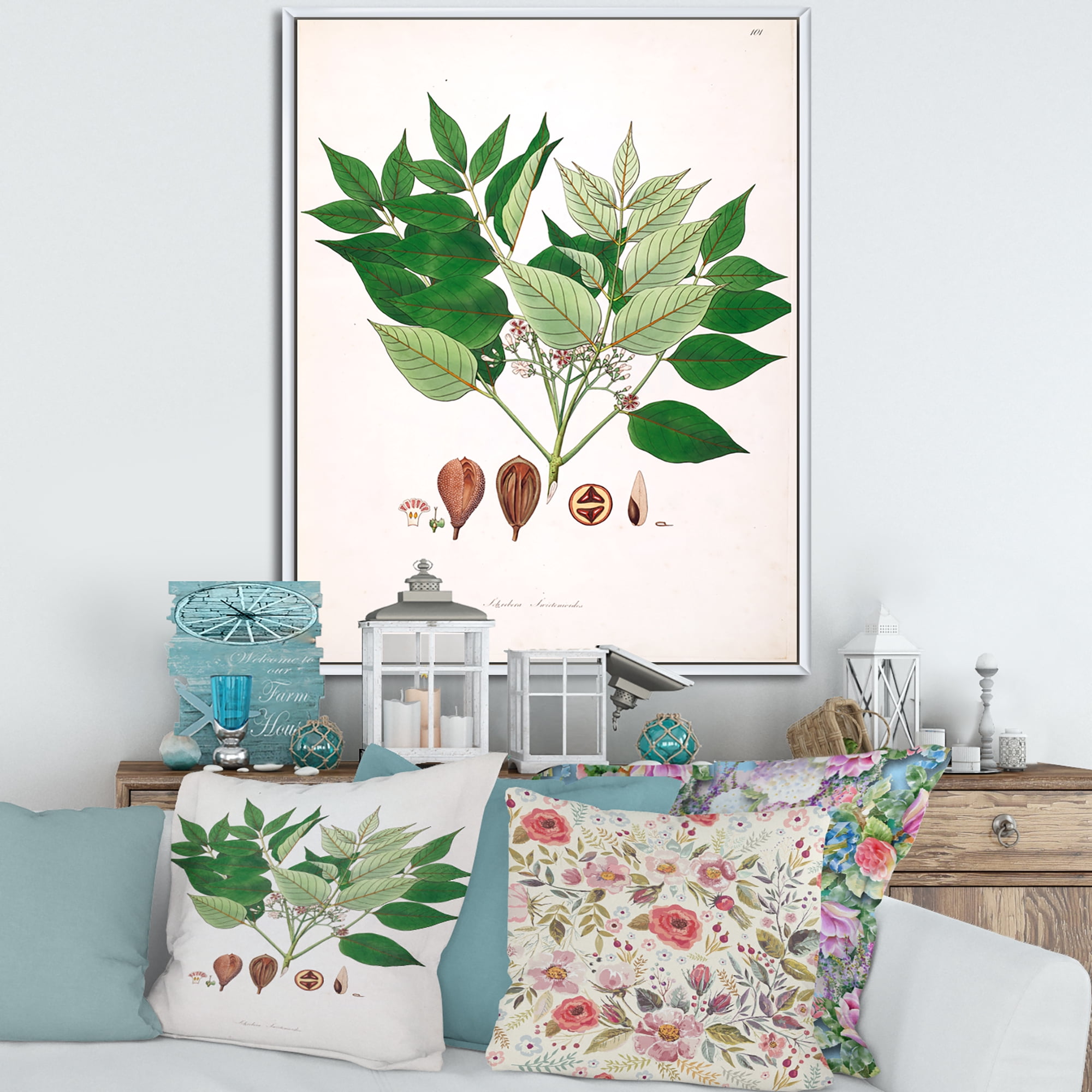 Designart 'Ancient Plant Life XII' Farmhouse Framed Canvas Wall Art Print