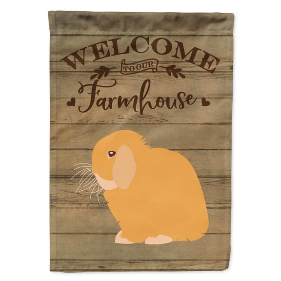 Caroline's Treasures CK6912CHF Holland Lop Rabbit Welcome Flag Canvas House Size , Large, multicolor