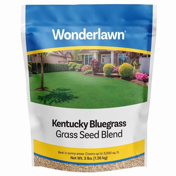 Wonderlawn 3 lbs Kentucky Bluegrass Sun or Shade Grass Seed