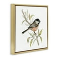 thumbnail image 4 of Stupell Industries Sparrow on Branch Animals & Insects Painting Gold Floater Framed Canvas Art Print Wall Art, 25 x 25, 4 of 10
