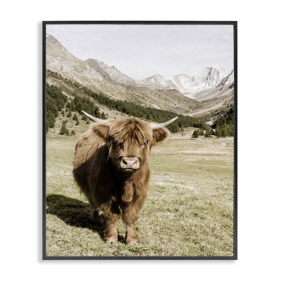 Stupell Industries Farmhouse Countryside Highland Cattle Distant Mountain Longhorn Photograph Black Framed Giclee Art, 11 x 14, by Danita Delimont